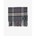 Product THE BOSTONIANS COPLEY SCARF thumbnail image