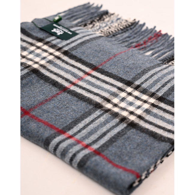 Product THE BOSTONIANS COPLEY SCARF base image