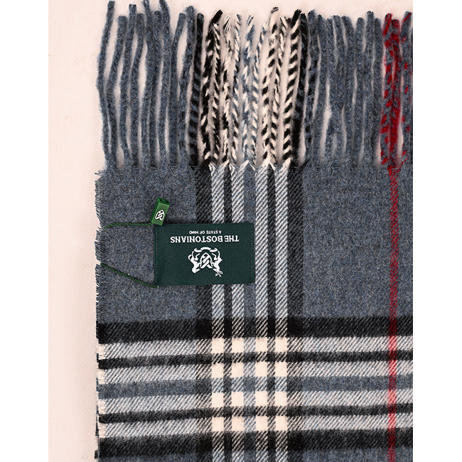 Product THE BOSTONIANS COPLEY SCARF base image