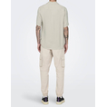 Product ONLY & SONS ONSDASH LIFE REG RES SS 001 SHIRT NOOS thumbnail image