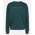 Product TOMMY JEANS TJW REG LINEAR CREW EXT thumbnail image
