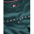 Product TOMMY JEANS TJW REG LINEAR CREW EXT thumbnail image