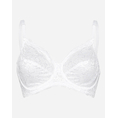 Product Compliment W X thumbnail image