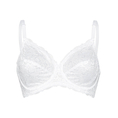Product Compliment W X thumbnail image