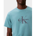 Product CALVIN KLEIN JEANS SS Hero Monologo Tee 20s thumbnail image