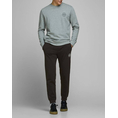 Product JACK&JONES ΠΑΝΤΕΛΟΝΙ ΦΟΡΜΑΣ JJIGORDON JJSHARK SWEAT PANTS AT NOOS thumbnail image