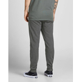 Product JACK&JONES ΠΑΝΤΕΛΟΝΙ ΦΟΡΜΑΣ JJIGORDON JJSHARK SWEAT PANTS AT NOOS thumbnail image
