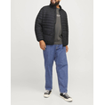 Product JACK&JONES JJESTATE PACKABLE PUFFER COLLAR NOOS PLS thumbnail image