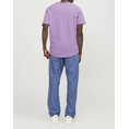 Product JACK&JONES ΜΠΛΟΥΖΑ JJEBASHER TEE O-NECK SS NOOS thumbnail image
