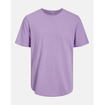 Product JACK&JONES ΜΠΛΟΥΖΑ JJEBASHER TEE O-NECK SS NOOS thumbnail image