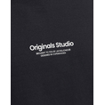 Product JACK&JONES JORVESTERBRO TEE LS CREW NECK NOOS thumbnail image