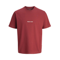 Product JACK&JONES JORNORREBRO EMB TEE SS CREW NECK NOOS thumbnail image