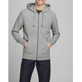 Product JACK&JONES JJEBASIC SWEAT ZIP HOOD NOOS thumbnail image