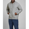 Product JACK&JONES JJEBASIC SWEAT ZIP HOOD NOOS PS thumbnail image
