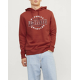 Product JACK&JONES JJELOGO SWEAT HOOD 2 COL 24/25 NOOS thumbnail image