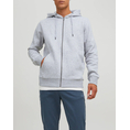 Product JACK&JONES JJESTAR BASIC SWEAT ZIP HOOD NOOS thumbnail image