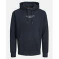 Product JACK&JONES JPRBLUARCHIE SWEAT HOOD NOOS thumbnail image