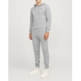 Product JJ REBEL LOGO SWEAT HOOD NOOS thumbnail image