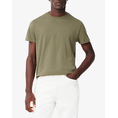 Product LACOSTE TEE-SHIRT SS thumbnail image