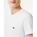Product LACOSTE TEE-SHIRT SS thumbnail image