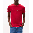 Product TOMMY HILFIGER TOMMY LOGO TEE thumbnail image