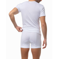 Product MINERVA ΦΑΝΕΛ ΑΝΔΡ ΧΜ 83 thumbnail image