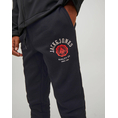 Product JACK&JONES ΠΑΝΤΕΛΟΝΙ ΦΟΡΜΑΣ JPSTLOGO SWEAT PANT 2 COL 22/23 NOOS JNR thumbnail image