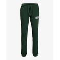 Product JACK&JONES JPSTGORDON JJNEWSOFT SWEAT PANT NOOS JNR thumbnail image