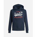 Product JACK&JONES JJELOGO SWEAT HOOD 2 COL 22/23 NOOS JNR thumbnail image