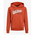 Product JACK&JONES JJELOGO SWEAT HOOD 2 COL 22/23 NOOS JNR thumbnail image
