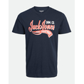 Product JACK&JONES JJELOGO TEE NECK 2 COL 23/24 NOOS JNR thumbnail image