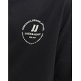 Product JACK&JONES JJESWIFT TEE LS NOOS JNR thumbnail image