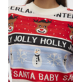 Product VERO MODA VMHOLLY JOLLYFLAKES LS O-NECK PULL.XMAS thumbnail image