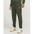 Product JACK&JONES JPSTGORDON JJFERRIS UNBRUSHED SWEAT PANT thumbnail image