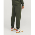 Product JACK&JONES JPSTGORDON JJFERRIS UNBRUSHED SWEAT PANT thumbnail image