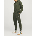 Product JACK&JONES JPSTGORDON JJFERRIS UNBRUSHED SWEAT PANT thumbnail image