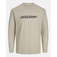 Product JACK&JONES JORVESTERBRO NEWTON BRANDING TEE LS CN thumbnail image