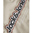 Product JACK&JONES JORVESTERBRO NEWTON BRANDING TEE LS CN thumbnail image