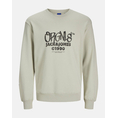 Product JACK&JONES JORBUSHWICK BOX SWEAT CREW NECK thumbnail image