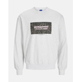 Product JACK&JONES JORBUSHWICK BOX SWEAT CREW NECK thumbnail image