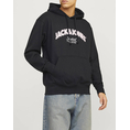 Product JACK&JONES JORBRONX ARCH BIG SWEAT HOOD LN thumbnail image