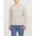 Product JACK&JONES JREBROCKY SWEAT CREW NECK thumbnail image