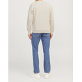 Product JACK&JONES JREBROCKY SWEAT CREW NECK thumbnail image