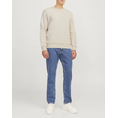 Product JACK&JONES JREBROCKY SWEAT CREW NECK thumbnail image