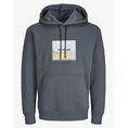 Product JACK&JONES JORVESTERBRO NEWTON BOXFRONT SWEAT BF LN thumbnail image