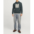 Product JACK&JONES JORVESTERBRO NEWTON BOXFRONT SWEAT BF LN thumbnail image