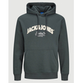 Product JACK&JONES JORBRONX ARCH BIG SWEAT HOOD UB thumbnail image