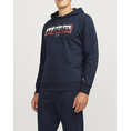 Product JACK&JONES JREBNATHAN SWEAT HOOD thumbnail image
