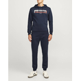 Product JACK&JONES JREBNATHAN SWEAT HOOD thumbnail image