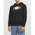 Product JACK&JONES JORPORTLAND BLOCK SWEAT HOOD LN thumbnail image